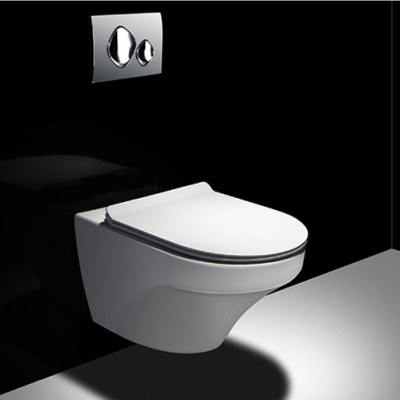 rimless ceramic sanitary ware  wall mounted  toilet  wc wall hung toilet